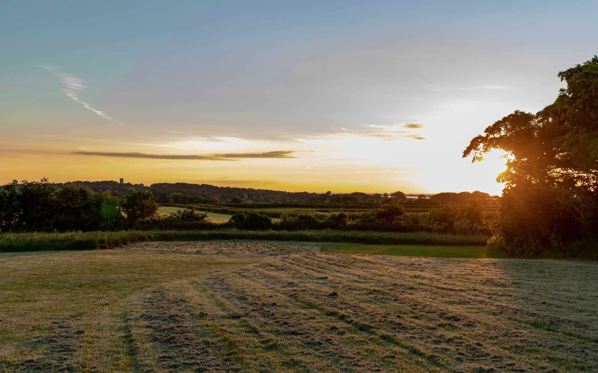 A lush woodland wedding setting at sunset in Norfolk with open fields and tall trees.