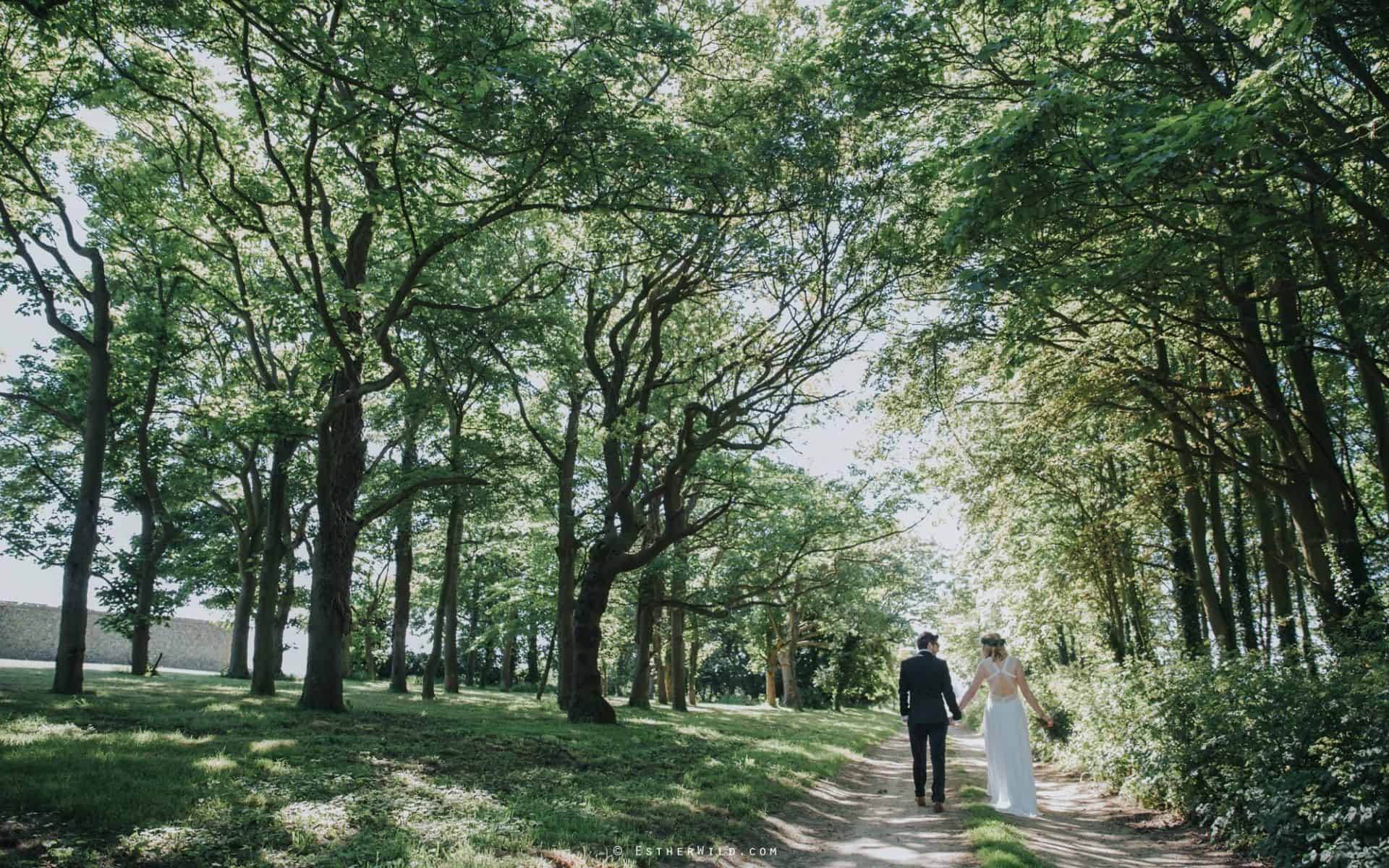 A lush woodland setting ideal for outdoor wedding ceremonies in Norfolk.